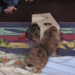 Tierprojekttag 21.09.2012
