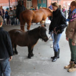 Tierprojekttag 21.09.2012