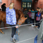 Tierprojekttag 21.09.2012