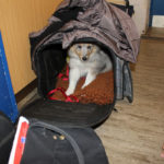 Tierprojekttag 21.09.2012