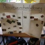 Tierprojekttag 21.09.2012