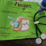 Tierprojekttag 21.09.2012