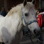 Tierprojekttag 21.09.2012