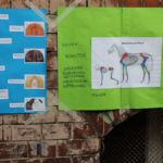 Tierprojekttag 21.09.2012
