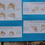 Tierprojekttag 21.09.2012