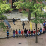 Tierprojekttag 21.09.2012