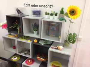 Kultur macht stark-Projekt 2019: Kleine Ausstellung "Echt oder unecht?"